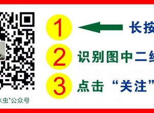 阳春风水大师：2024年大年初一日及开市事宜！